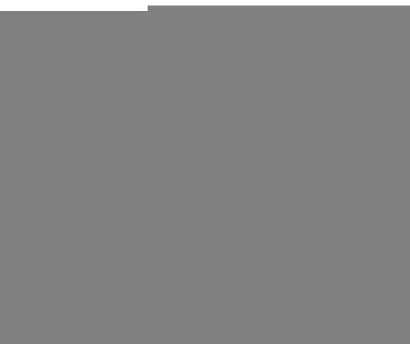 Shim